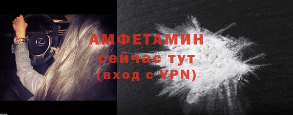 прущие грибы Баксан