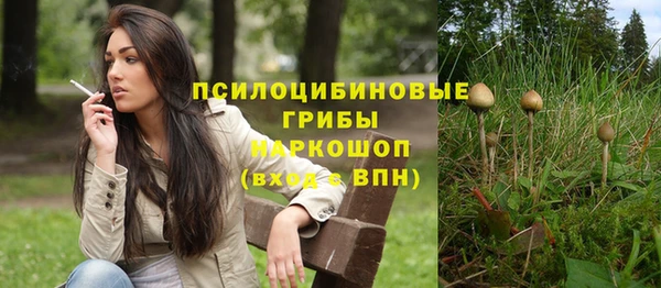 прущие грибы Баксан