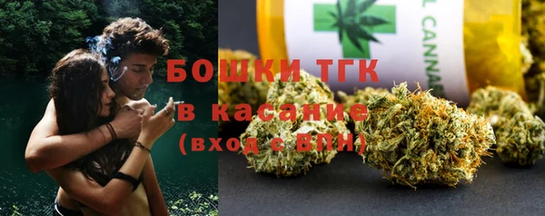 ГАЛЛЮЦИНОГЕННЫЕ ГРИБЫ Балахна