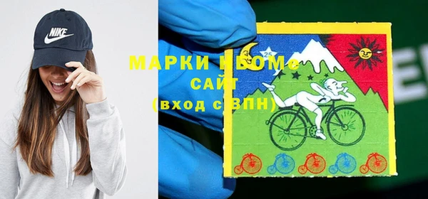 прущие грибы Баксан