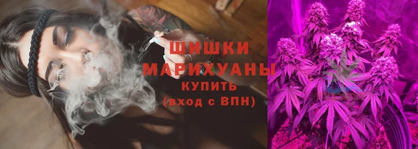 прущие грибы Баксан