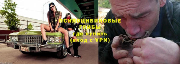 ГАЛЛЮЦИНОГЕННЫЕ ГРИБЫ Балахна
